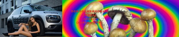 Альфа ПВП Алексеевка