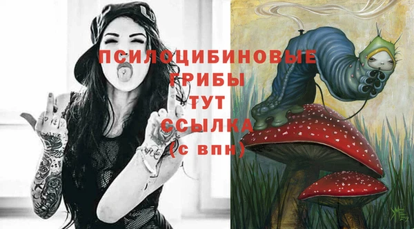 спайс Алексин