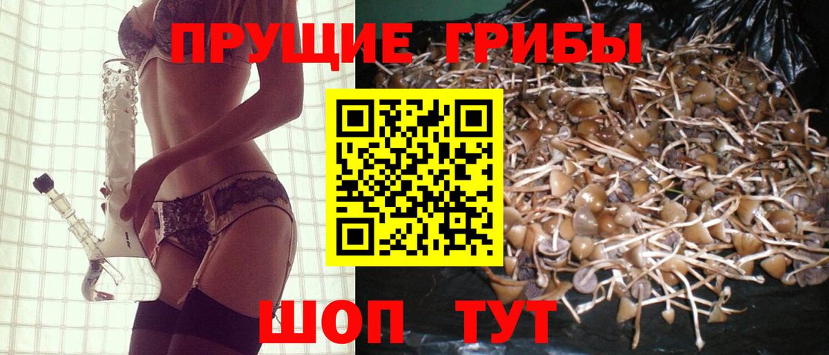 Псилоцибиновые грибы мухоморы  Вход с VPN  Амурск 
