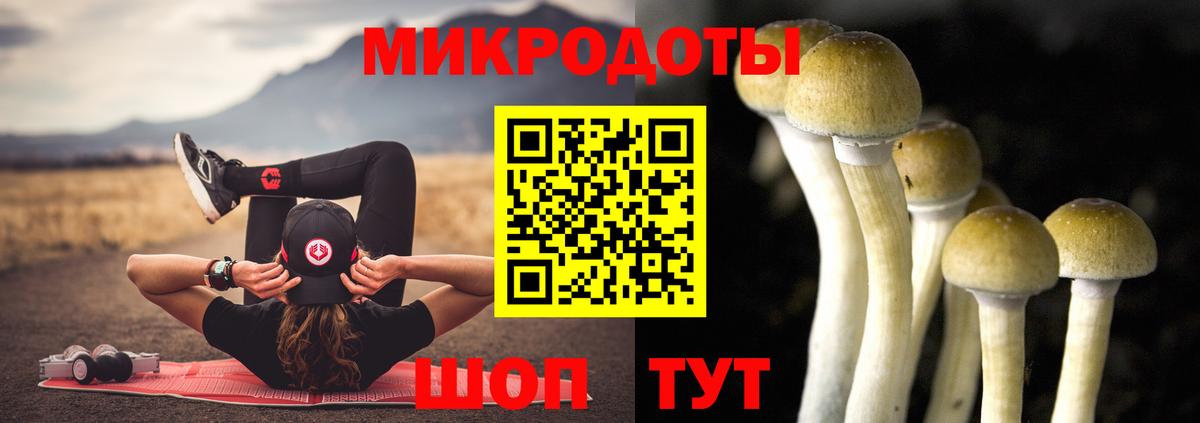 Галлюциногенные грибы прущие грибы Амурск