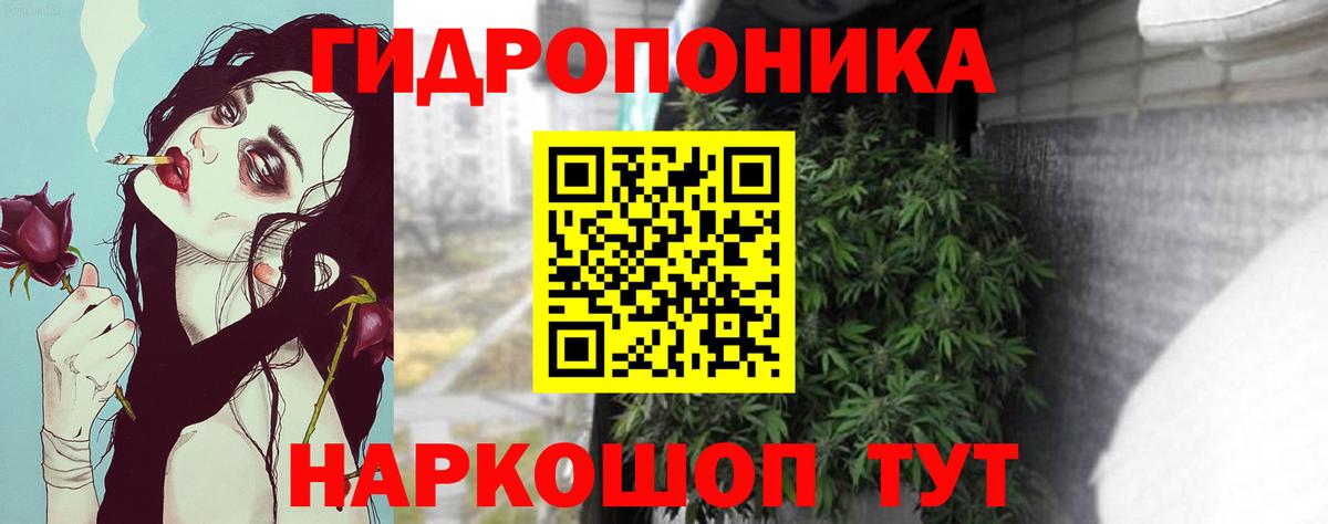 Галлюциногенные грибы Амурск